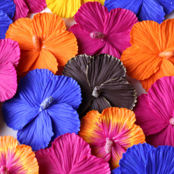 Polimer Kil Kahverengi Hibiskus Küpe Çiçek Tasarım Hibiscus