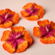 Polimer Kil Çok Renkli Hibiscus Çiçek Küpe Polimer Kil Çok Renkli Hibiscus Çiçek Küpe